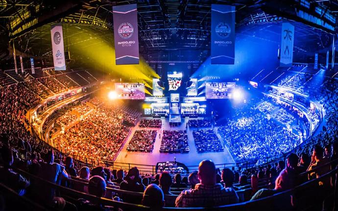 他们的表现 他们的表现