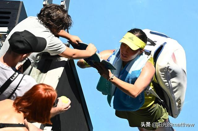 的中坚力量 的中坚力量