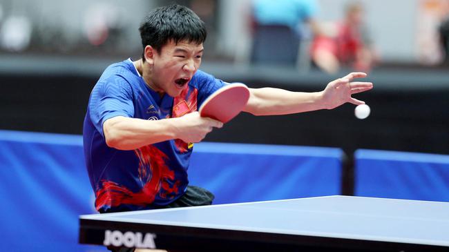 它既是全队 它既是全队