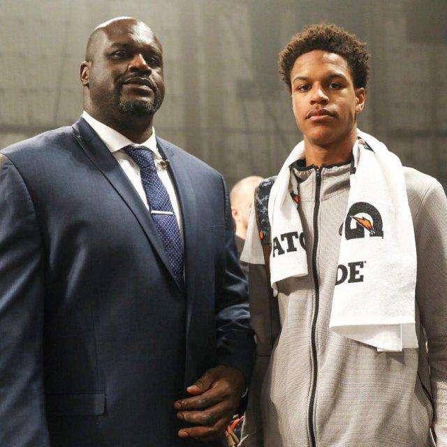 遮挡裁判 遮挡裁判